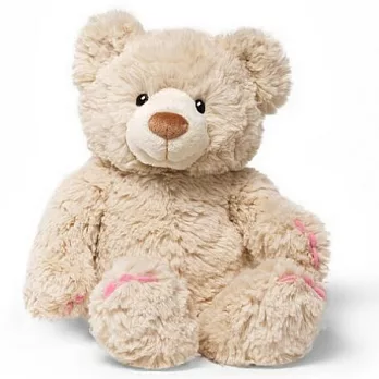 美國Gund彩蝶泰迪熊/S