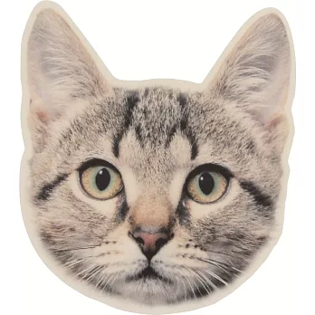 【magnet】擬真動物滑鼠墊(貓)