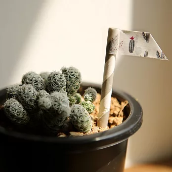 Dailylike 單捲紙膠帶-52 仙人掌