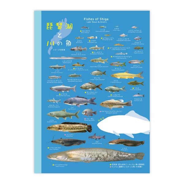 博客來好書推薦kokuyo 琵琶湖限定 Reeden魚類圖鑑筆記本 B5方格推薦 慕槐的自由手札 痞客邦