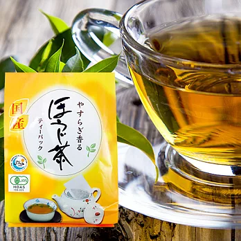 日本藤二 烘焙綠茶茶包240g