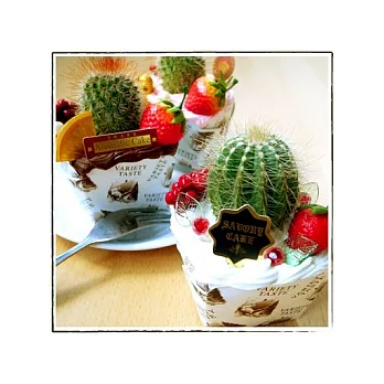 emo garden植栽-仙人掌杯子蛋糕(三入)