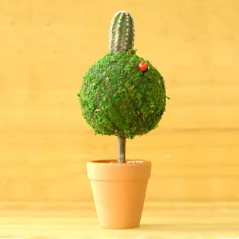 迎光-幸福苔樹(圓形)