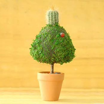 迎光-幸福苔樹(三角形)