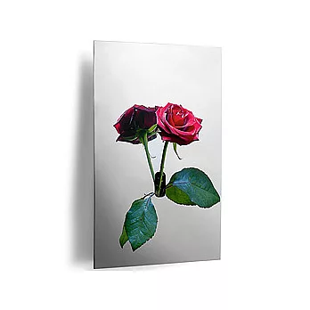 《PHILIPPI》Wall 壁面花瓶