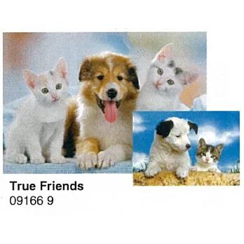 Ravensburger維寶拼圖--好朋友(2*20)