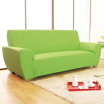 《Homebeauty》大和防蹣抗菌彈性沙發罩/沙發套-1+2+3人座沙發蘋果綠