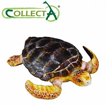 【CollectA】海洋系列 - 赤蠵龜
