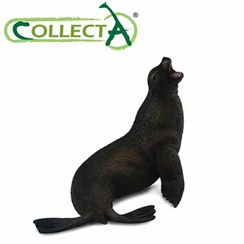 【CollectA】海洋系列 - 海獅
