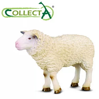 【CollectA】綿羊