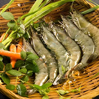 台江漁人港 草本白蝦 M 半斤 包 注目推薦 痞客邦