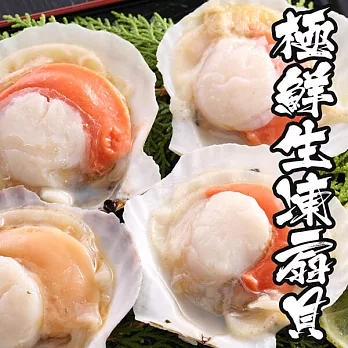 【海鮮王】極鮮生凍扇貝 *8包組( 500g±10%/包 )( 6顆/包 )