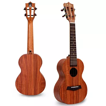 ENYA 23吋 四葉草代言 可插電 夏威夷單板相思木 烏克麗麗 EUC-X1(送原廠9配件)