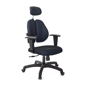 GXG 雙背涼感 電腦椅 (升降鋼板扶手) TW-2995EA8 請備註顏色