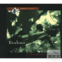 布拉姆斯弦樂四重奏(2CD)