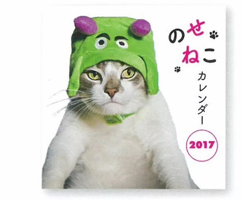 可愛趣味NOSE貓咪2017年月曆