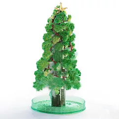 【賽先生科學工廠】紙樹開花啦!巨大聖誕樹─長青綠(新款)