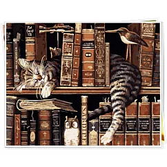 ArtLife藝術生活【89557】書架上的貓_DIY 數字 油畫 彩繪