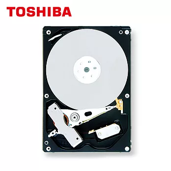 TOSHIBA東芝 1TB 3.5吋 SATA3 AV 影音監控專用內接硬碟(監控碟) (DT01ABA100V)