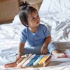 泰國Plantoys 木作兒童樂器 ─ 彩虹橢圓木琴(清新藍)
