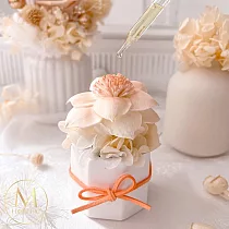 【Floral M】Santa Monica加州落日永生香氛擴香花 加州橙