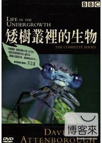 矮樹叢裡的生物 DVD