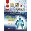 圖解基因與DNA