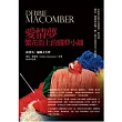 愛情夢：繁花街上的織夢小舖