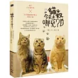 貓奴，今天去哪兒?：慢行台北貓村落X26間療癒咖啡館&雜貨小舖