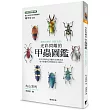 光彩閃耀的甲蟲圖鑑