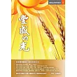 豐盛的光