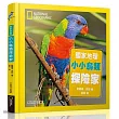 國家地理小小鳥類探險家