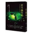 螢火蟲效應