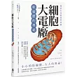 探索生命能量的來源 細胞大電廠：粒線體的奧祕
