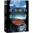 看不見的文字：時代挑戰與一名布農祭司的回應