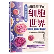探索微觀星球，顯微鏡下的細胞世界：葉綠體×粒線體×細胞核……透過顯微鏡觀察，建立辨識細胞內構造與功能的基礎能力