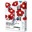 在小山和小山之間：故事大爆炸年度首獎之作