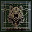 Needtobreathe / Live From The Woods Vol. 2 (2CD)