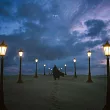 Aimer / Sign【通常盤】