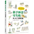 新手種菜零失敗：從入門到精通