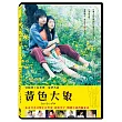 黃色大象 DVD