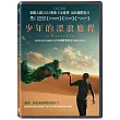 少年的漂浪旅程 DVD