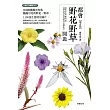 都會野花野草圖鑑【增訂版】 (電子書)