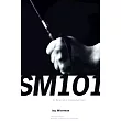 Sm 101： A Realistic Introduction