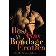 Best Gay Bondage Erotica