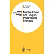 Multiple Scale and Singular Perturbation Methods