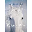 The Winter Pony