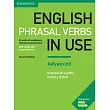 English Phrasal Verbs in Use： 60 units of vocabulary reference and practice， Self─study and classroom use： Advanced