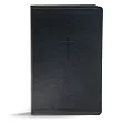 Everyday Study Bible： Christian Standard Bible， Black Leathertouch