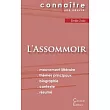 Fiche de lecture LAssommoir (Analyse littéraire de référence et résumé complet)